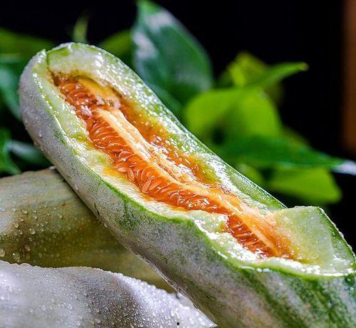 吃瓜网红韩靖格,吃瓜界的风云人物 第1张 吃瓜网红韩靖格,吃瓜界的风云人物 第1张